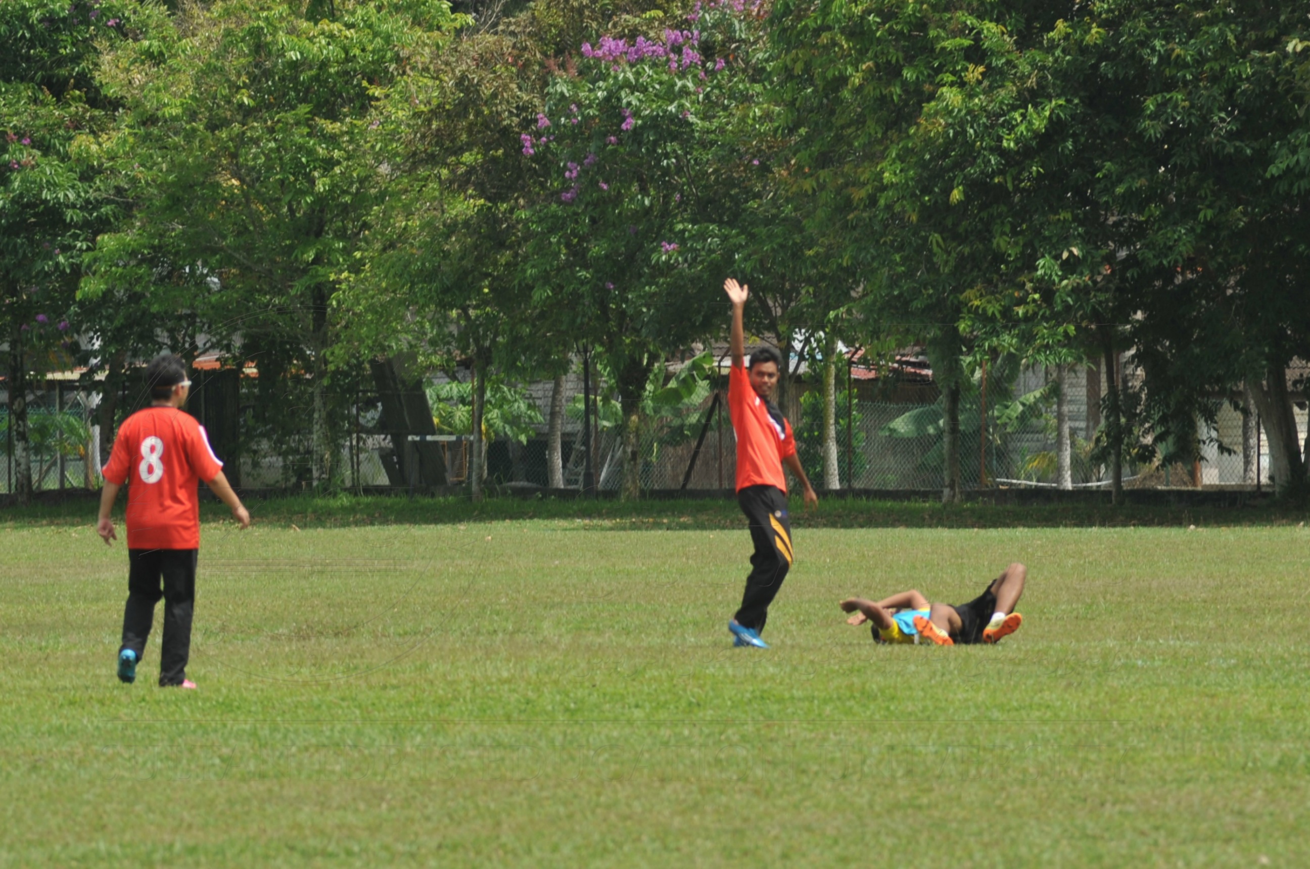 PRO 15 53 KIESTA HAS 6312